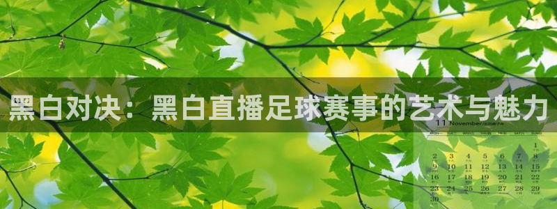 黑白对决：黑白直播足球赛事的艺术与魅力