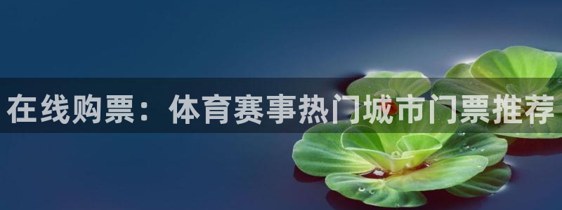 在线购票：体育赛事热门城市门票推荐